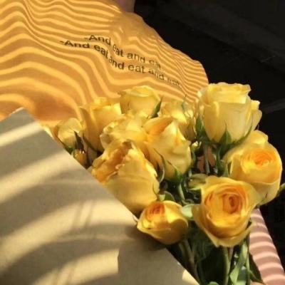 澳门天天免费资料大全下载手机app下载